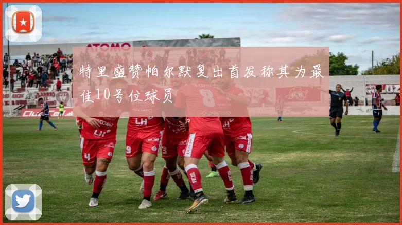 特里盛赞帕尔默复出首发称其为最佳10号位球员